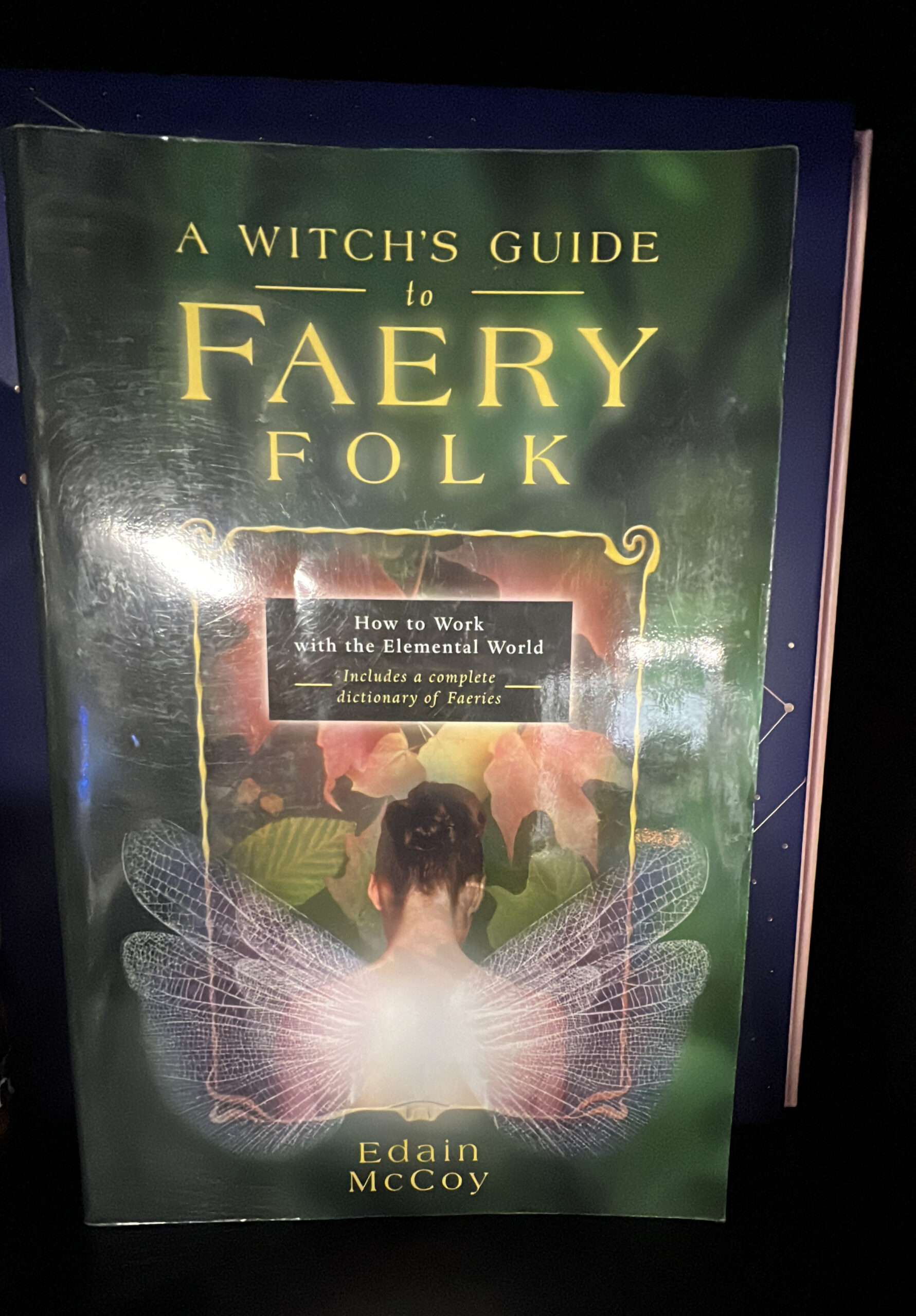 A Witch’s Guide to Faery Folk – The Star & Stone