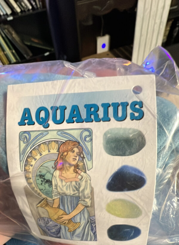 Aquarious ZOdiac Bag