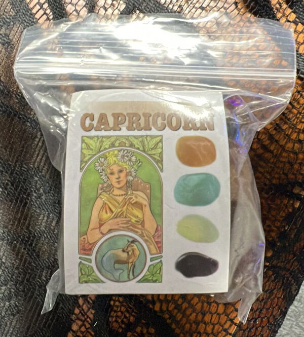 Capricorn Zodiac Bag