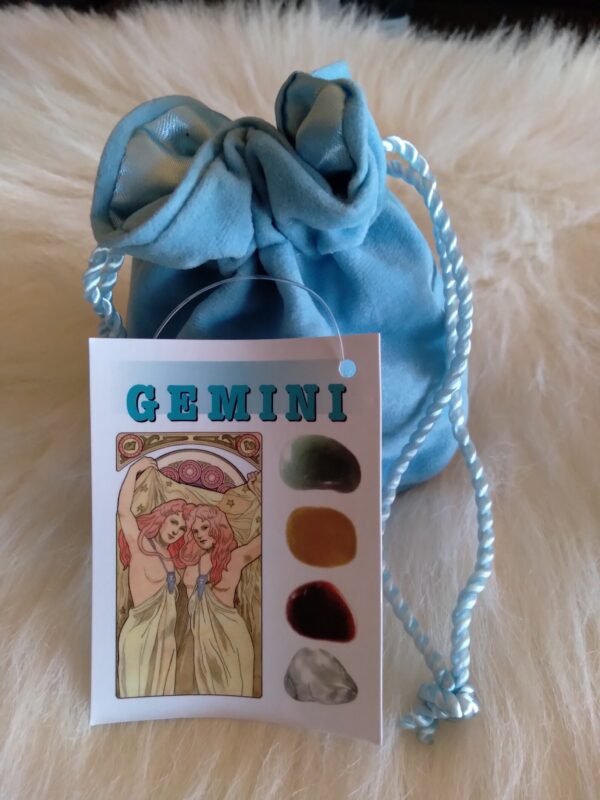 Gemini Zodiac Bag